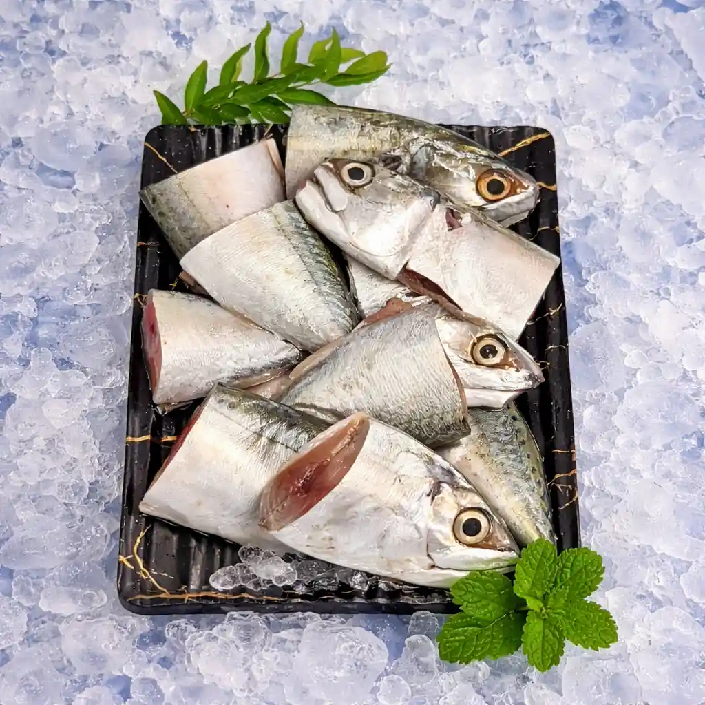 Mackerel/Ayala/Bangda / ಬಂಗುಡೆ
